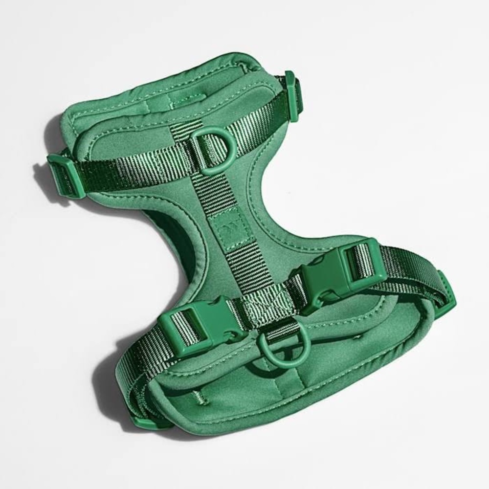 Wild One Dog Harness - LIKE NEW!